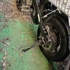 自転車の後輪です。