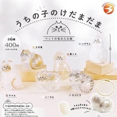 うちの子のけだまだま サバトラ 国内正規品 ガチャ の画像