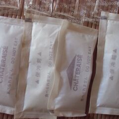 ●無料● 保冷剤 63点 （大半が約11㎝×4㎝）まとめて 差し上げます。＊石川県＊美川より＊期間限定の画像