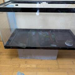 急ぎ！！1200水槽！！の画像