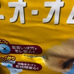 ペット用紙オムツ　女の子用サイズM 28枚入　未使用の画像