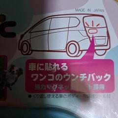don pac 車用犬用トイレ袋ホルダー(ノベルティグッズ)の画像