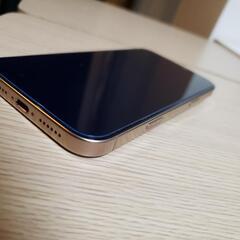 iPhone16promax 256GB【美品】の画像