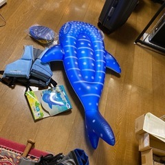 子供用 ミニジンベイザメとライフジャケットと空気入れの画像