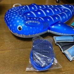 子供用 ミニジンベイザメとライフジャケットと空気入れの画像