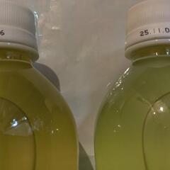 MATCH 炭酸飲料 500ml 2本セットの画像