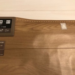 ホットカーペット　Panasonic　DC-2V4 ライトベージュの画像