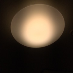 アイリスの照明器具の画像