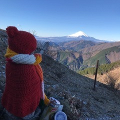 大山、塔ノ岳、丹沢など関東近郊の登山！🏔️