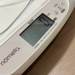 ベビースケール　ノメタ の画像
