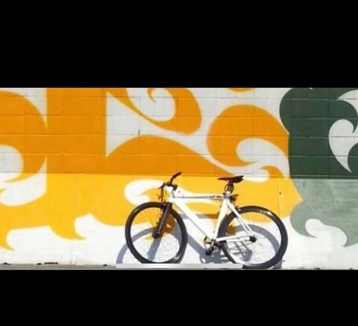 LEAER BIKE 735 ■カラー: ホワイト ■サイズ: L