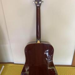 Morris アコースティックギターの画像