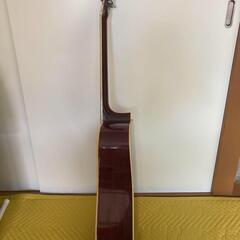 Morris アコースティックギターの画像