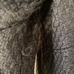 axes femme コートの画像
