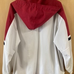 Sergio tacchini　ゴルフウェア(メンズ、M)の画像
