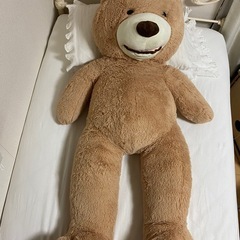 コストコの大きなクマさん　熊さん　120cmの画像