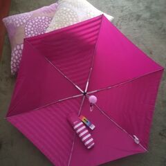 ☂新品未使用☂急な土砂降りに！コンパクト＆軽量🌂ウォーターフロント🌂持ち歩き＆置き傘に！折りたたみ傘🌂の画像