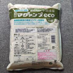 マグァンプの画像