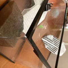 亀用水槽セット
の画像