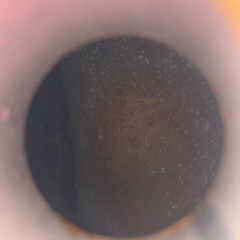 モンキー　5Lタンクの画像