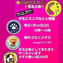 ぴちこめだかミニマルシェ 本日開催