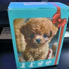 リアルAIロボット犬！？