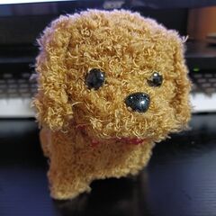 リアルAIロボット犬！？の画像