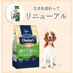 ファーストチョイス 犬 ドライフード 高齢犬 10歳以上 小粒の画像