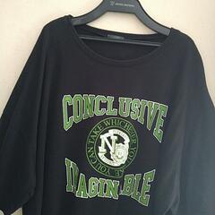3L・ビッグＴシャツの画像