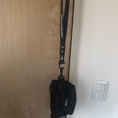 25ss　SUPREME Mesh Mini Porch & THE NORTH FACE ランヤード セット ノースフェイス シュプリーム アウトドアにの画像