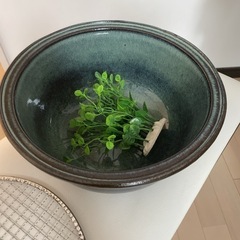 睡蓮鉢　メダカ鉢　人工水草とピッタリの金網付きの画像