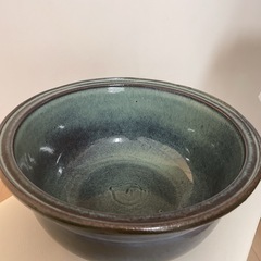 睡蓮鉢　メダカ鉢　人工水草とピッタリの金網付きの画像