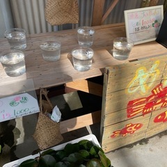 ☆メダカ 販売☆ 無人販売☆の画像