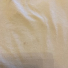 2点セット　重ね着　120の画像