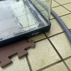 90センチ水槽の画像