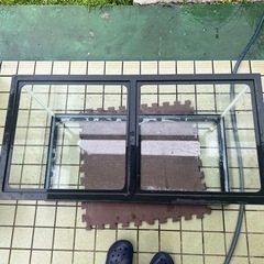 90センチ水槽の画像
