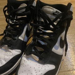 【本日のみ出品】NIKEダンクハイ。28.5cmの画像