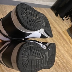 【本日のみ出品】NIKEダンクハイ。28.5cmの画像