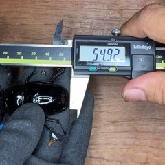 タランドゥスオオツヤクワガタ　使用済みペアの画像