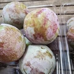☆☆（交渉中）本日最終日出荷残り品につきソルダム2L 格安放出☆☆の画像