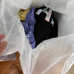 レディース類の衣服の画像