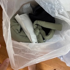 レディース類の衣服の画像
