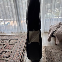 ゴルフバッグの画像
