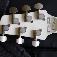 Ibanez SZ320EX ホワイト Duncan PU の画像
