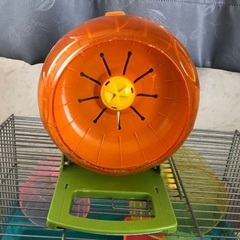 ハムスターゲージ　２つ　小物セットの画像