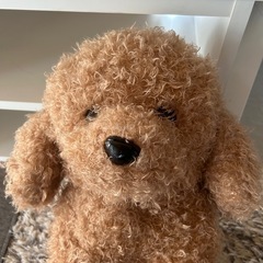 犬のぬいぐるみの画像