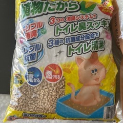 猫砂未使用の画像