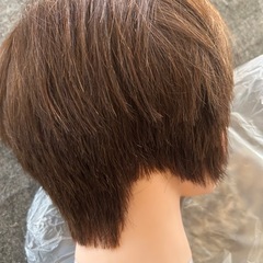 カットウィッグの画像