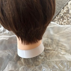 カットウィッグの画像