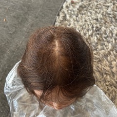 カットウィッグの画像